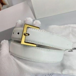 QFZ72 Ladies' popular belts -PG