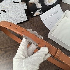 S-QFZ3110   Popular belt     -PG