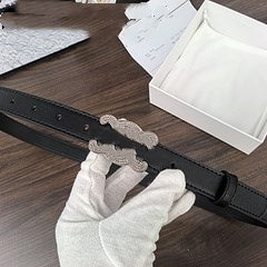 S-QFZ3110   Popular belt     -PG